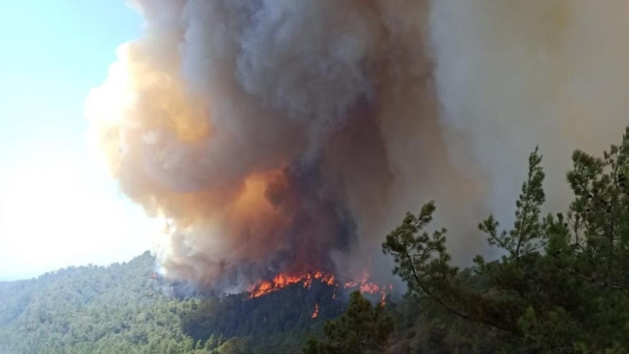 OGM'den Marmaris orman yangınına ilişkin açıklama