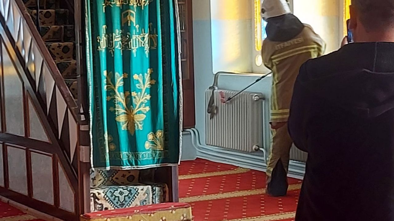 Bursa'da camide yılan paniği