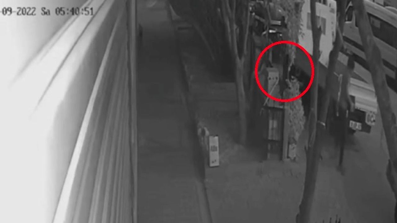 Bursa'da akü hırsızlığı kamerada