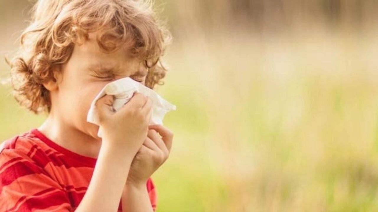 Sonbahar alerjisiyle başa çıkmanın yolları