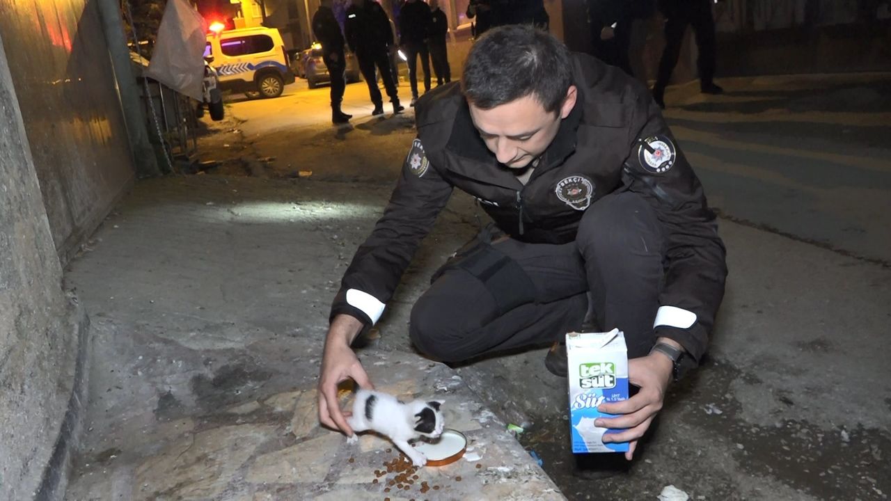 Bursa'da polislerin "hırsız var" diye tırmandıkları evden yavru kedi çıktı