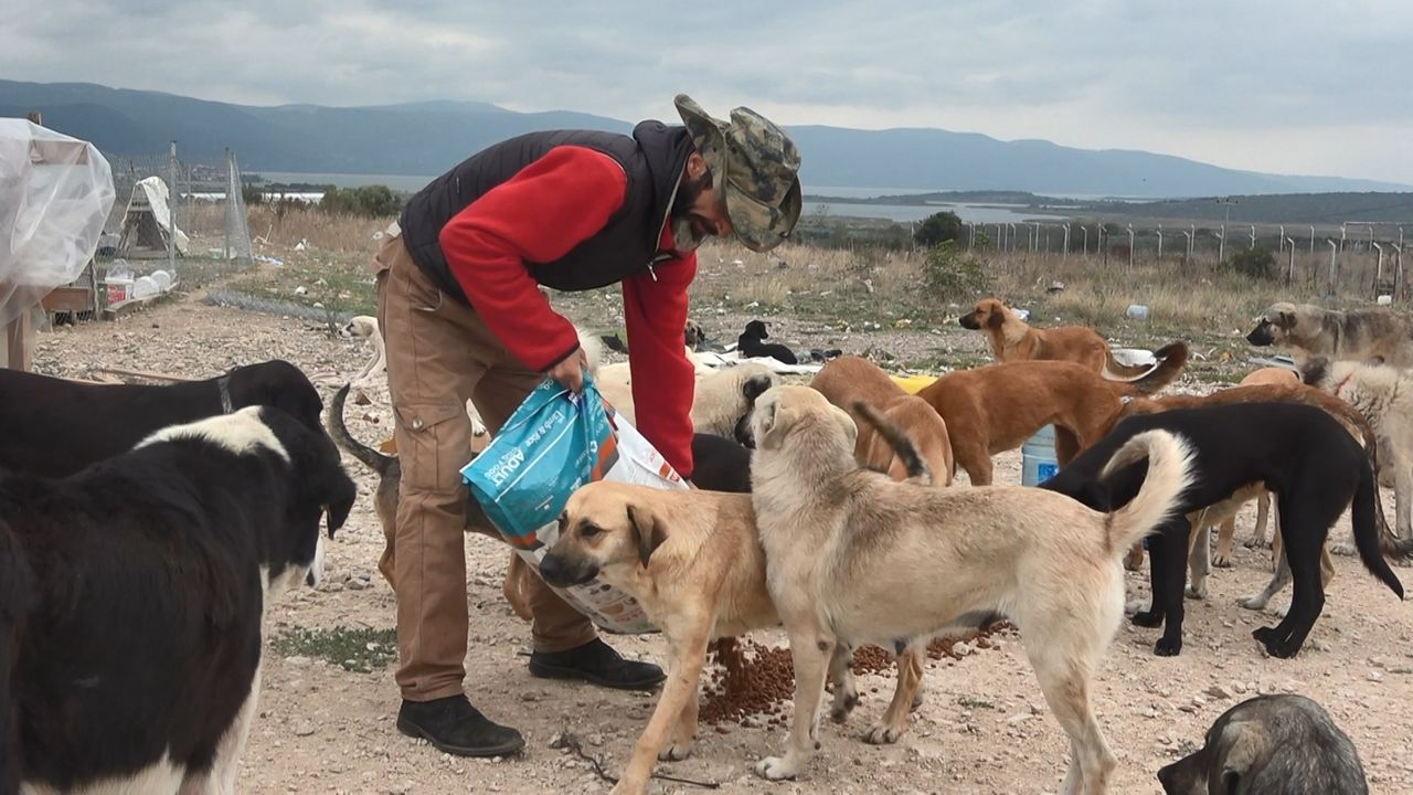 Bursa’da 16 gönüllü, kurdukları barınakta 300 sokak hayvanına bakıyor