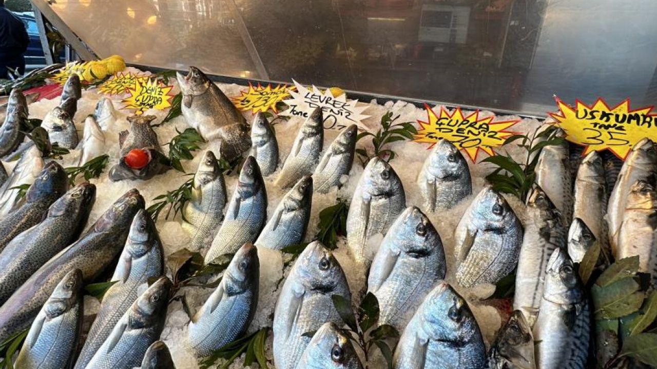 Havalar ısındı, balık fiyatları düştü