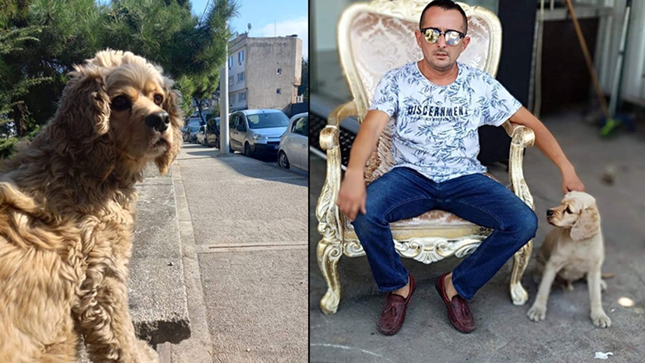 Bursa'da köpeğini 5 kez buldu, 6. kez çaldılar