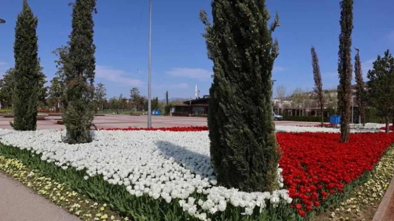 Baharın renkleri Bursa'yı donatıyor