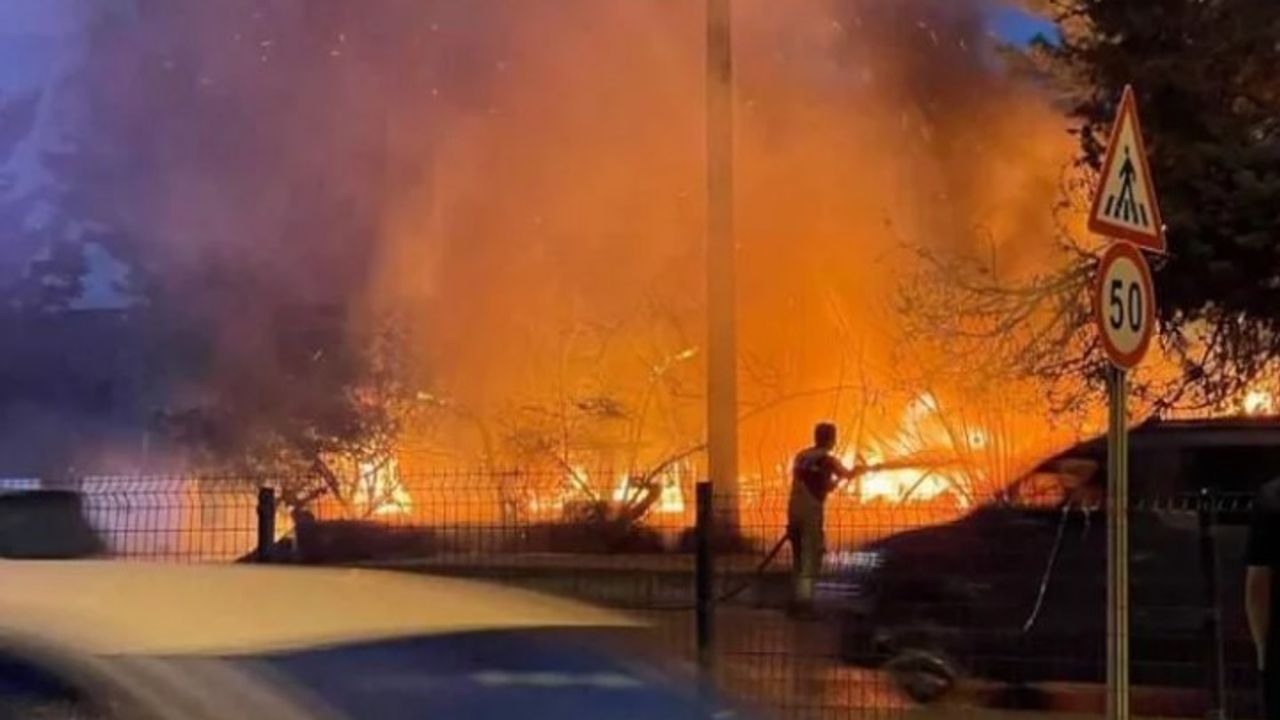 Mudanya'da ağaçlık alanda yangın paniği!