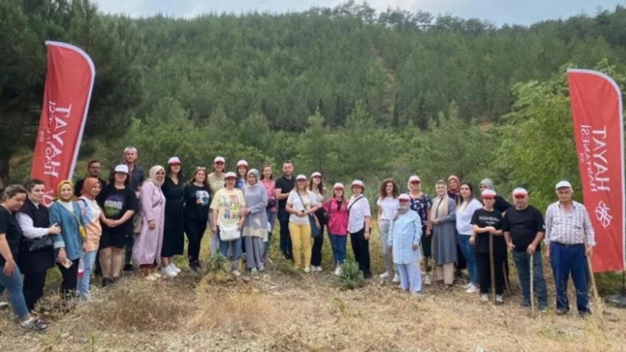 Bursa'da sağlık çalışanları ağaçların da bakımını yaptı