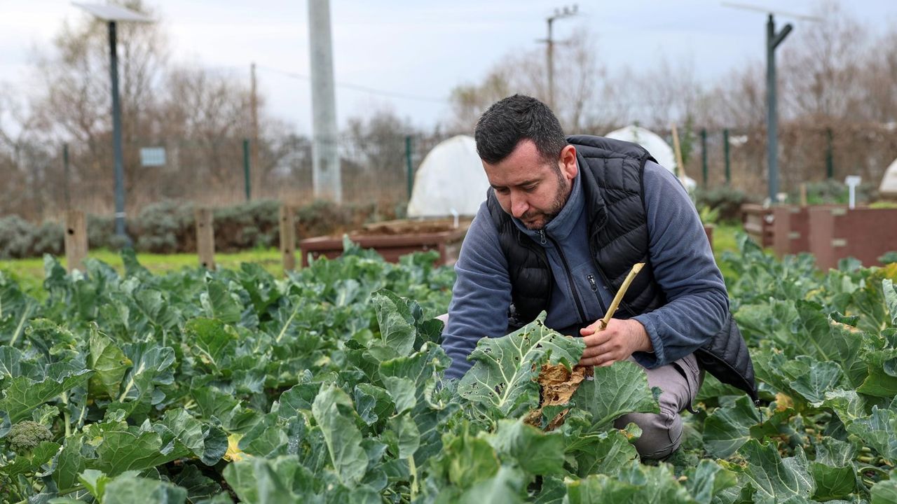 Nilüfer Belediyesi, Tarımsal Arazi Analiz ve Haritalandırma Çalışmasını Tamamladı