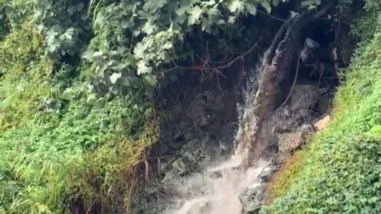 Bursa'da Karsak Deresi alarm veriyor!