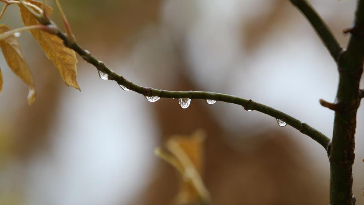 Bursa'da yağışlar toprağa can suyu oldu
