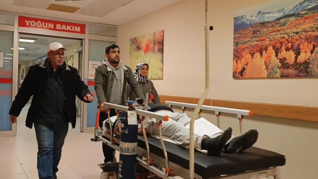 Mantar yedi, hastanelik oldu
