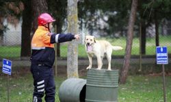 TSK'nın eğitimli köpekleri Bursa'da yetiştiriliyor