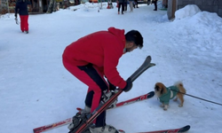 Uludağ'da kayakçı, köpeğe çarptı!