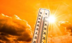 Avrupa en hızlı ısınan kıta! Sıcak kaynaklı ölümler yüzde 30 arttı