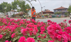 Yenişehir'de 'bahar' çalışmaları sürüyor