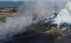 Bursa’daki yangın ormana sıçradı!