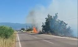 Bursa’da yangın… Yol kenarındaki otlar tutuştu!