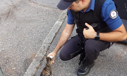 Yavru kedi, polis merkezinde besleniyor