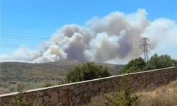 Çeşme’deki yangının ayrıntıları belli oldu