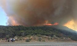 Antalya’da orman yangını