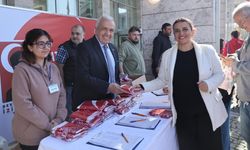 Nilüfer, Atatürk posterleriyle donanıyor