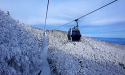 Bursa'da teleferik seferleri durdu!