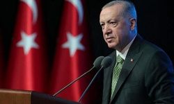 Erdoğan: 'Yaşanan vakalar hakkında önemli adımlar atacağız'