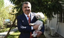 Oktay Yılmaz: 'Can dostlarımızı korumaya devam edeceğiz'