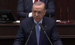 Cumhurbaşkanı Erdoğan: ''Yenilen pehlivan güreşe doymazmış''