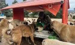 BURTOM Sağlık Grubu ile sağlıktan kalbe, kalpten doğaya