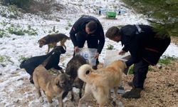 Mudanya Belediyesi'nden kar mesaisi