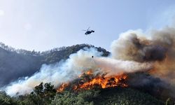 Antalya’da orman yangını