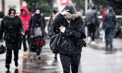Soğuk hava dalgası başladı! 20 derece birden...