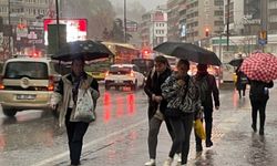 Zirai donla üzen nisan, yağışlarla sevindirdi