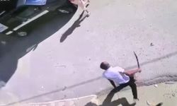Palalı saldırgan dehşet saçtı