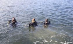 Gemlik Körfezi'nde dip temizliği