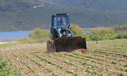 DSİ ekili tarlaları düzledi! Çiftçiler tepkili