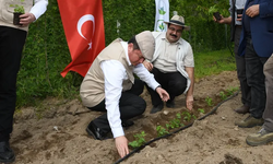 Osmangazi Belediyesi ahududu yetiştiriciliğine değer katıyor