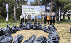 Ormandan tonlarca atık toplandı