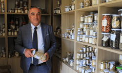 Yerel tohum akımı büyüyor