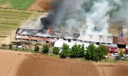 Bursa’da hayvan çiftliğinde büyük yangın!