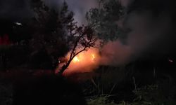 Yangın, bağ evini kül etti