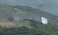 Bursa'da kırsal alanda yangın!