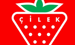 Çilek, Yaratıcı Çocukları Festivalde Buluşturuyor