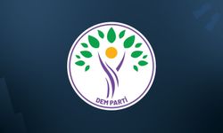 Silah bırakmadan sonra DEM'den ilk açıklama