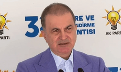 Çelik: Silah bırakma kesintisiz sürmeli