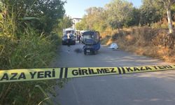 Yol ortasında o halde bulundu!