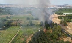 Bursa'da ağaçlık alanda yangın!