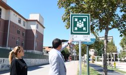 Bursa’da örnek afet projesi!