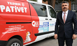 Yıldırım Belediyesi, sokak hayvanlarının yanında